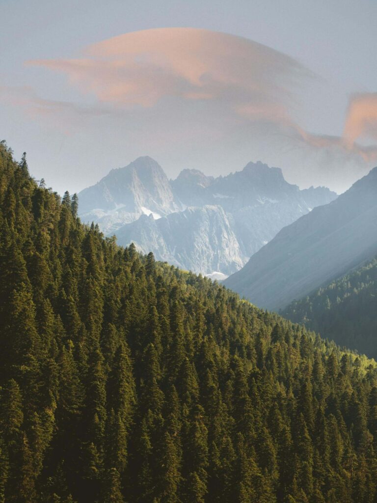 TGI stock image 13 Alt text 13